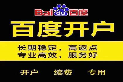 百度竞价推广经典案例解读