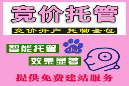 竞价开户优势解析：成功案例对比